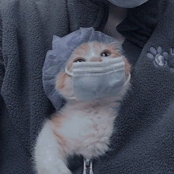 Meet your Posher, Alyson - Picture 1 of 1